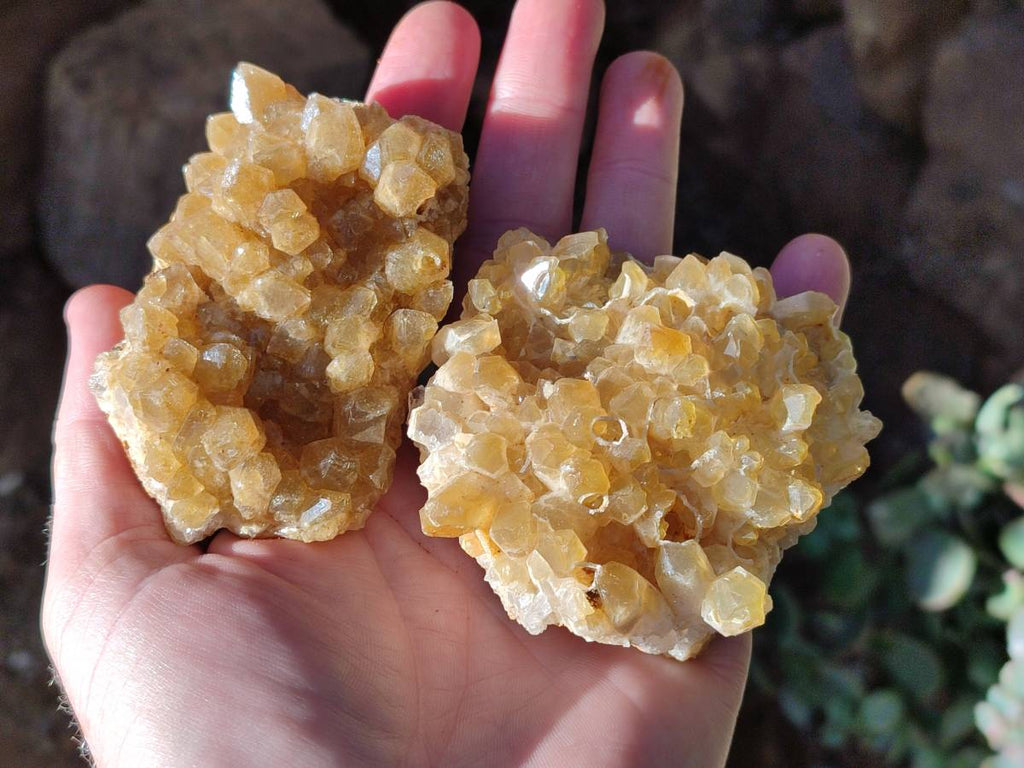 Natural Golden Limonite Quartz Clusters x 12 From Solwezi, Zambia - Toprock Gemstones and Minerals 