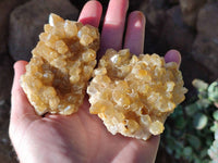 Natural Golden Limonite Quartz Clusters x 12 From Solwezi, Zambia