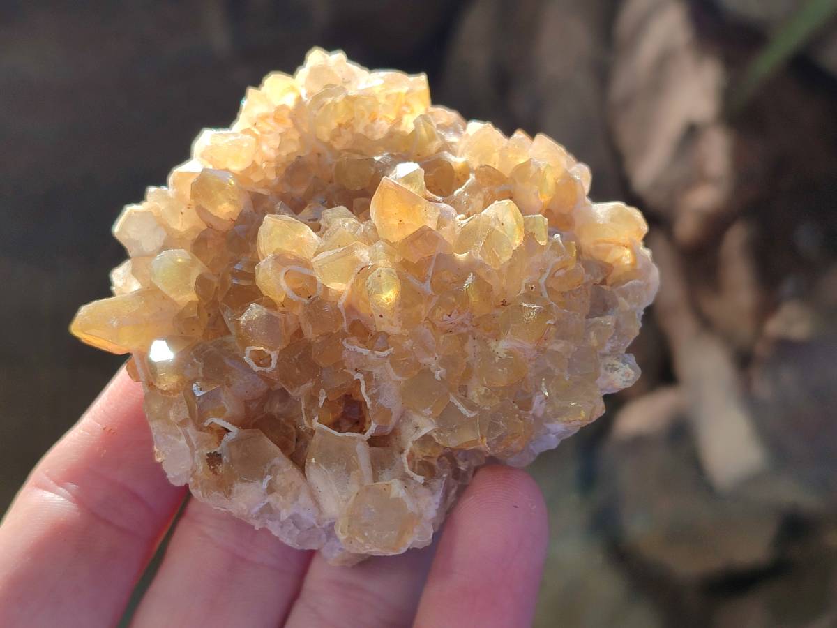 Natural Golden Limonite Quartz Clusters x 12 From Solwezi, Zambia - Toprock Gemstones and Minerals 