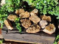 Natural Golden Limonite Quartz Clusters x 12 From Solwezi, Zambia