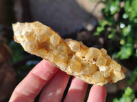 Natural Golden Limonite Quartz Clusters x 12 From Solwezi, Zambia