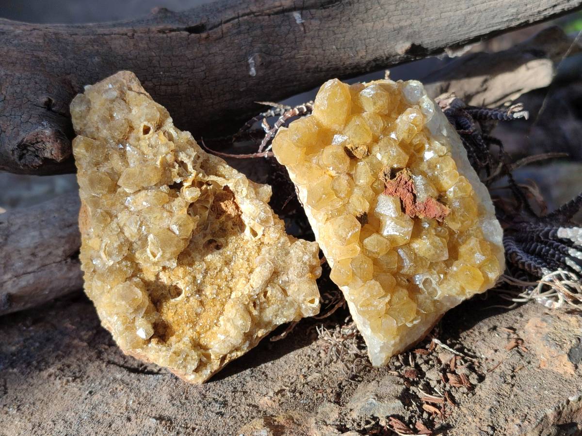 Natural Golden Limonite Quartz Clusters x 12 From Solwezi, Zambia - Toprock Gemstones and Minerals 