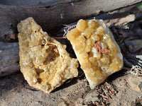 Natural Golden Limonite Quartz Clusters x 12 From Solwezi, Zambia