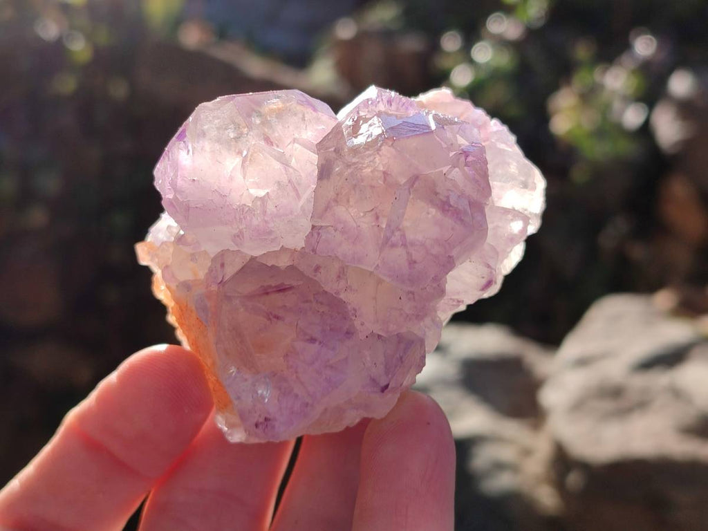 Natural Amethyst Spirit Quartz Clusters x 12 From Boekenhouthoek, South Africa - Toprock Gemstones and Minerals 