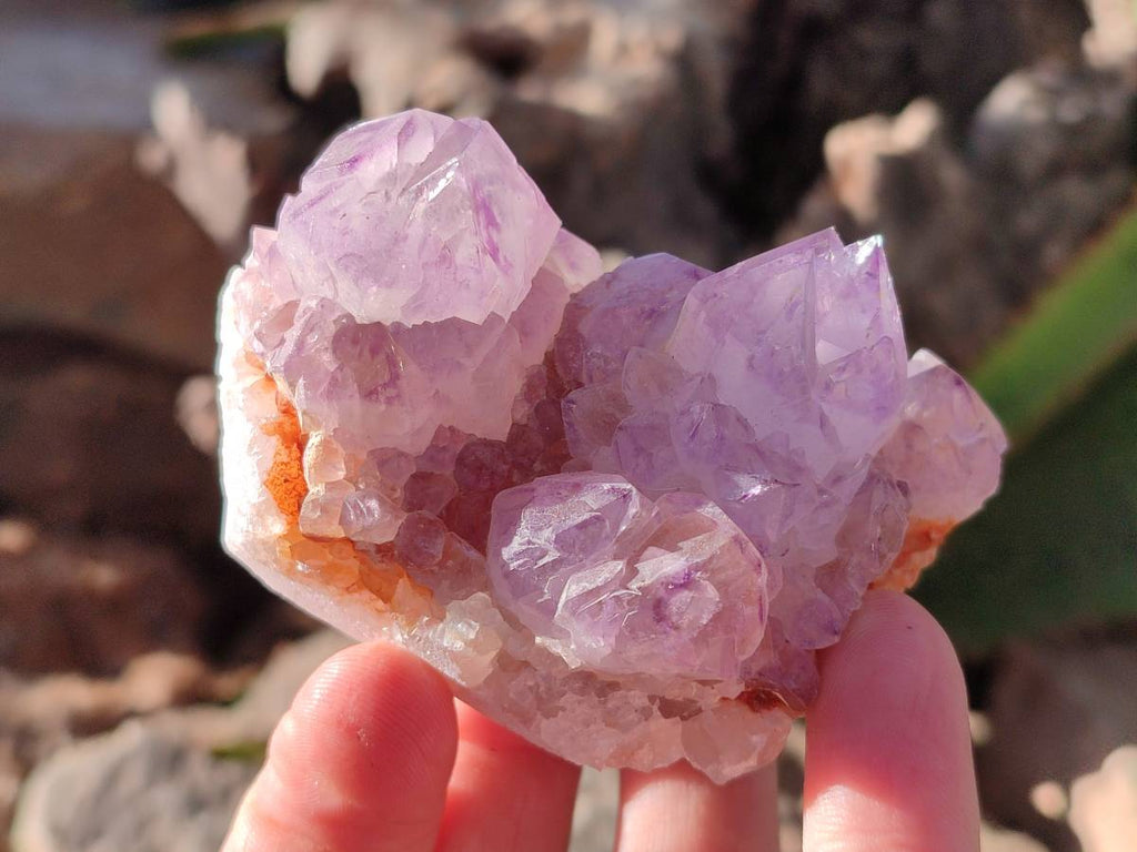 Natural Amethyst Spirit Quartz Clusters x 12 From Boekenhouthoek, South Africa - Toprock Gemstones and Minerals 