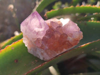Natural Amethyst Spirit Quartz Clusters x 12 From Boekenhouthoek, South Africa