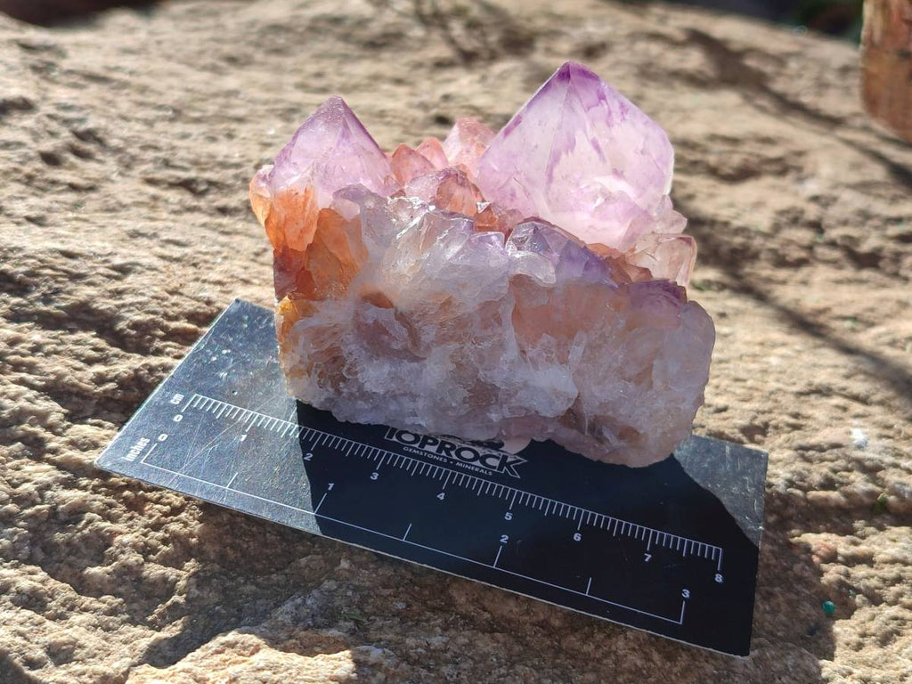 Natural Amethyst Spirit Quartz Clusters x 12 From Boekenhouthoek, South Africa - Toprock Gemstones and Minerals 