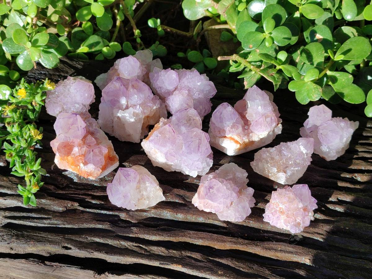 Natural Amethyst Spirit Quartz Clusters x 12 From Boekenhouthoek, South Africa - Toprock Gemstones and Minerals 