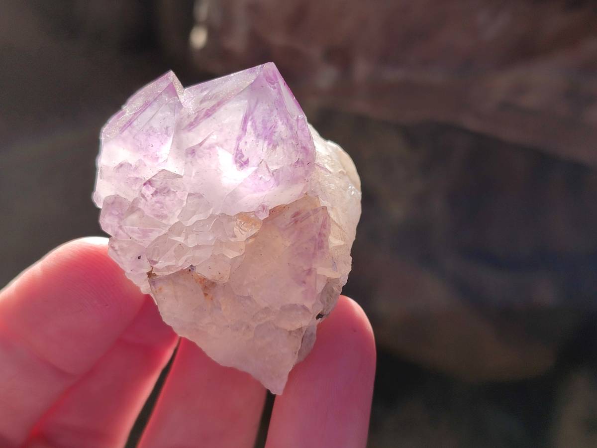 Natural Amethyst Spirit Quartz Clusters x 12 From Boekenhouthoek, South Africa - Toprock Gemstones and Minerals 