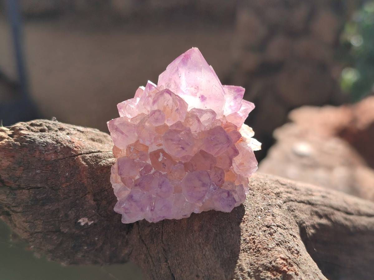 Natural Amethyst Spirit Quartz Clusters x 12 From Boekenhouthoek, South Africa - Toprock Gemstones and Minerals 