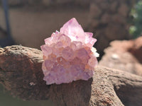 Natural Amethyst Spirit Quartz Clusters x 12 From Boekenhouthoek, South Africa