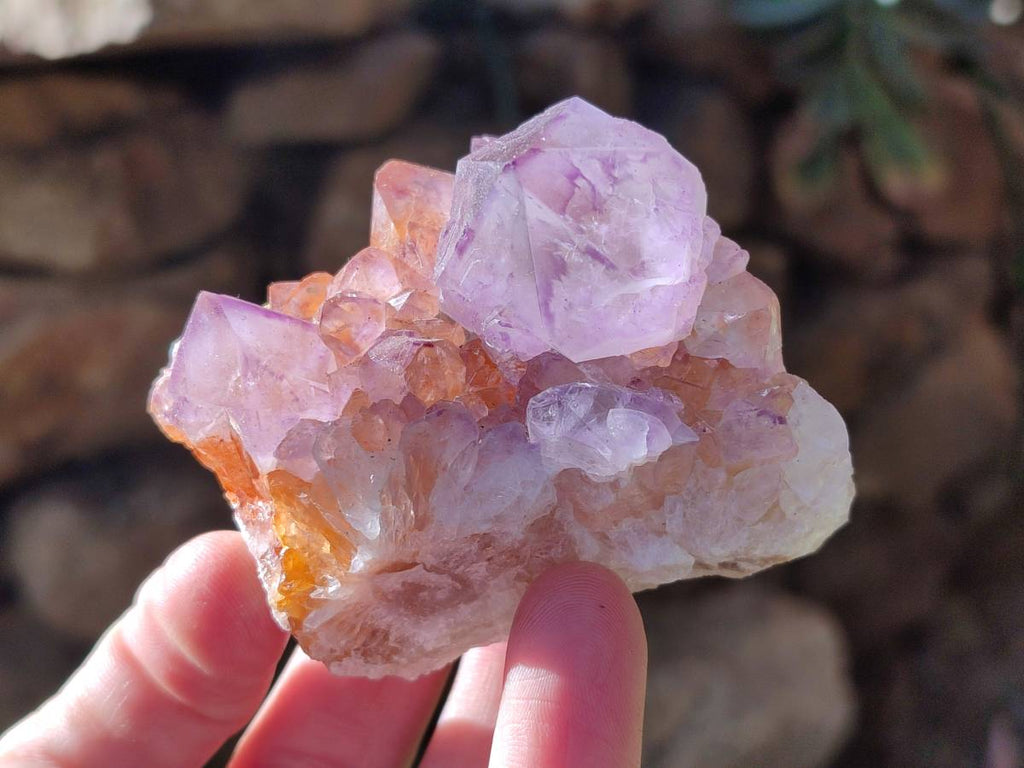 Natural Amethyst Spirit Quartz Clusters x 12 From Boekenhouthoek, South Africa - Toprock Gemstones and Minerals 