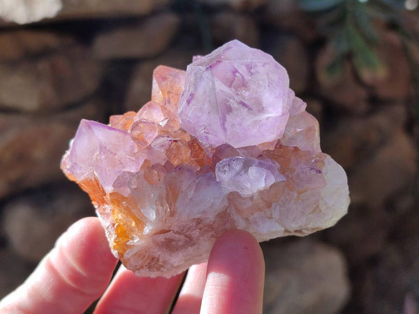Natural Amethyst Spirit Quartz Clusters x 12 From Boekenhouthoek, South Africa