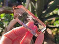 Polished Clear And Smokey Quartz Crystals x 6 From Madagascar - Toprock Gemstones and Minerals 
