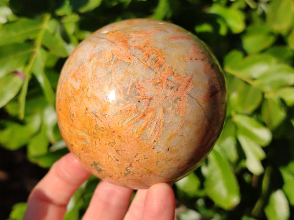 Polished Runestone Feldspar Spheres x 3 From Kings Ranch, Zimbabwe