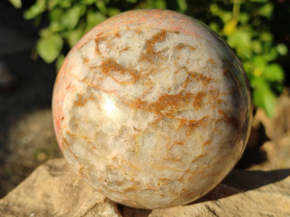 Polished Runestone Feldspar Spheres x 3 From Kings Ranch, Zimbabwe - Toprock Gemstones and Minerals 