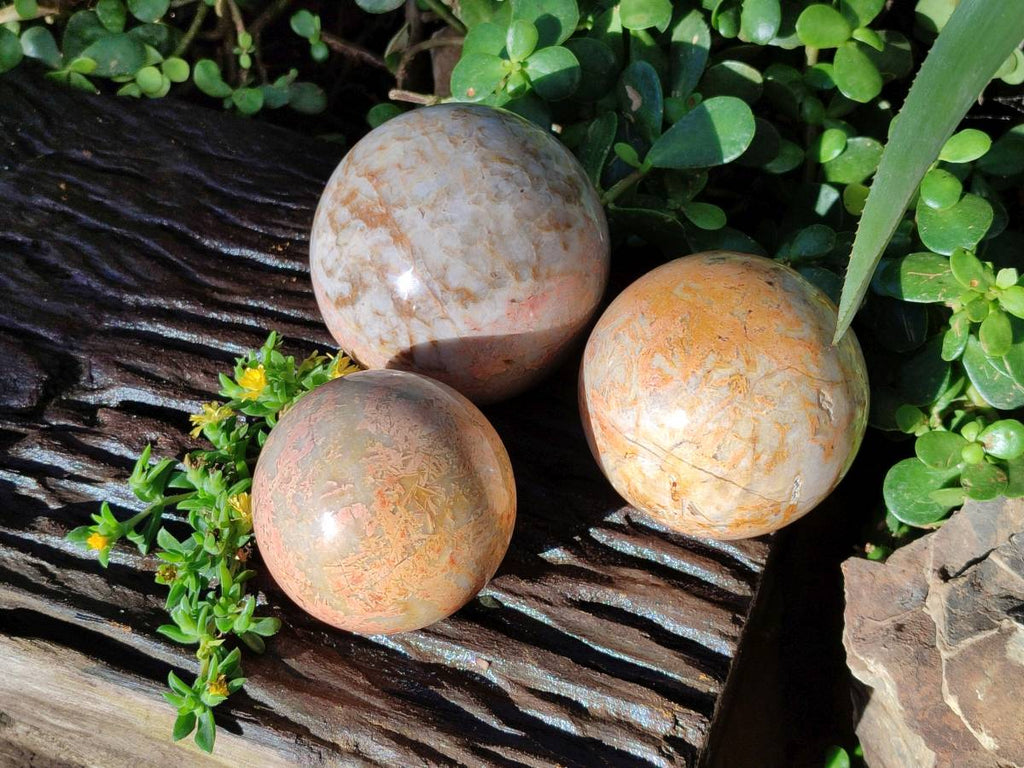Polished Runestone Feldspar Spheres x 3 From Kings Ranch, Zimbabwe - Toprock Gemstones and Minerals 