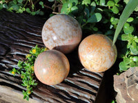 Polished Runestone Feldspar Spheres x 3 From Kings Ranch, Zimbabwe