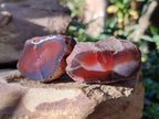 Polished On One Side Red Sashe River Agate Nodules x 20 From Zimbabwe - Toprock Gemstones and Minerals 