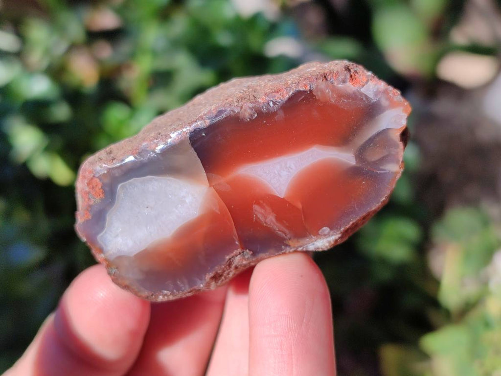 Polished On One Side Red Sashe River Agate Nodules x 20 From Zimbabwe - Toprock Gemstones and Minerals 