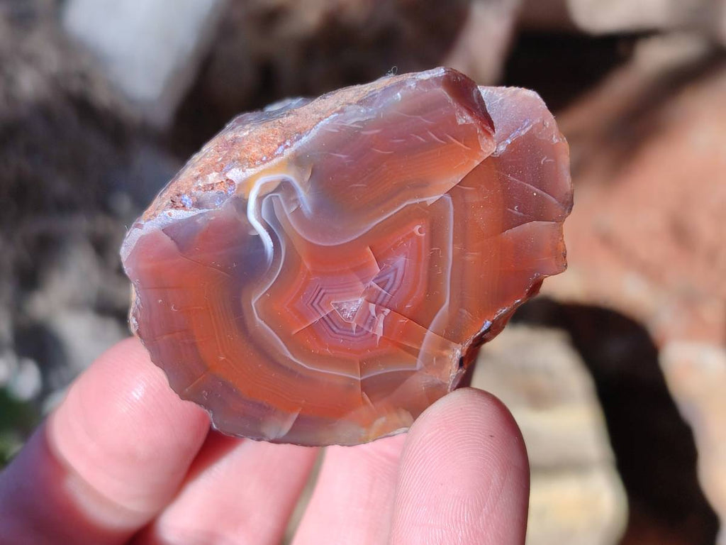 Polished On One Side Red Sashe River Agate Nodules x 20 From Zimbabwe - Toprock Gemstones and Minerals 
