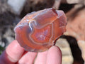 Polished On One Side Red Sashe River Agate Nodules x 20 From Zimbabwe - Toprock Gemstones and Minerals 