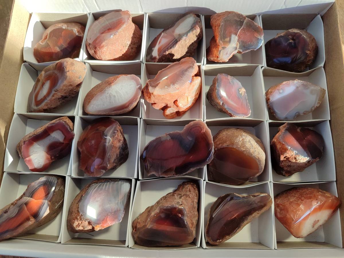 Polished On One Side Red Sashe River Agate Nodules x 20 From Zimbabwe - Toprock Gemstones and Minerals 