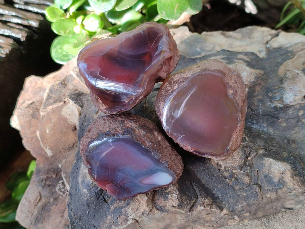 Polished On One Side Red Sashe River Agate Nodules x 20 From Zimbabwe - Toprock Gemstones and Minerals 