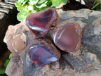 Polished On One Side Red Sashe River Agate Nodules x 20 From Zimbabwe - Toprock Gemstones and Minerals 