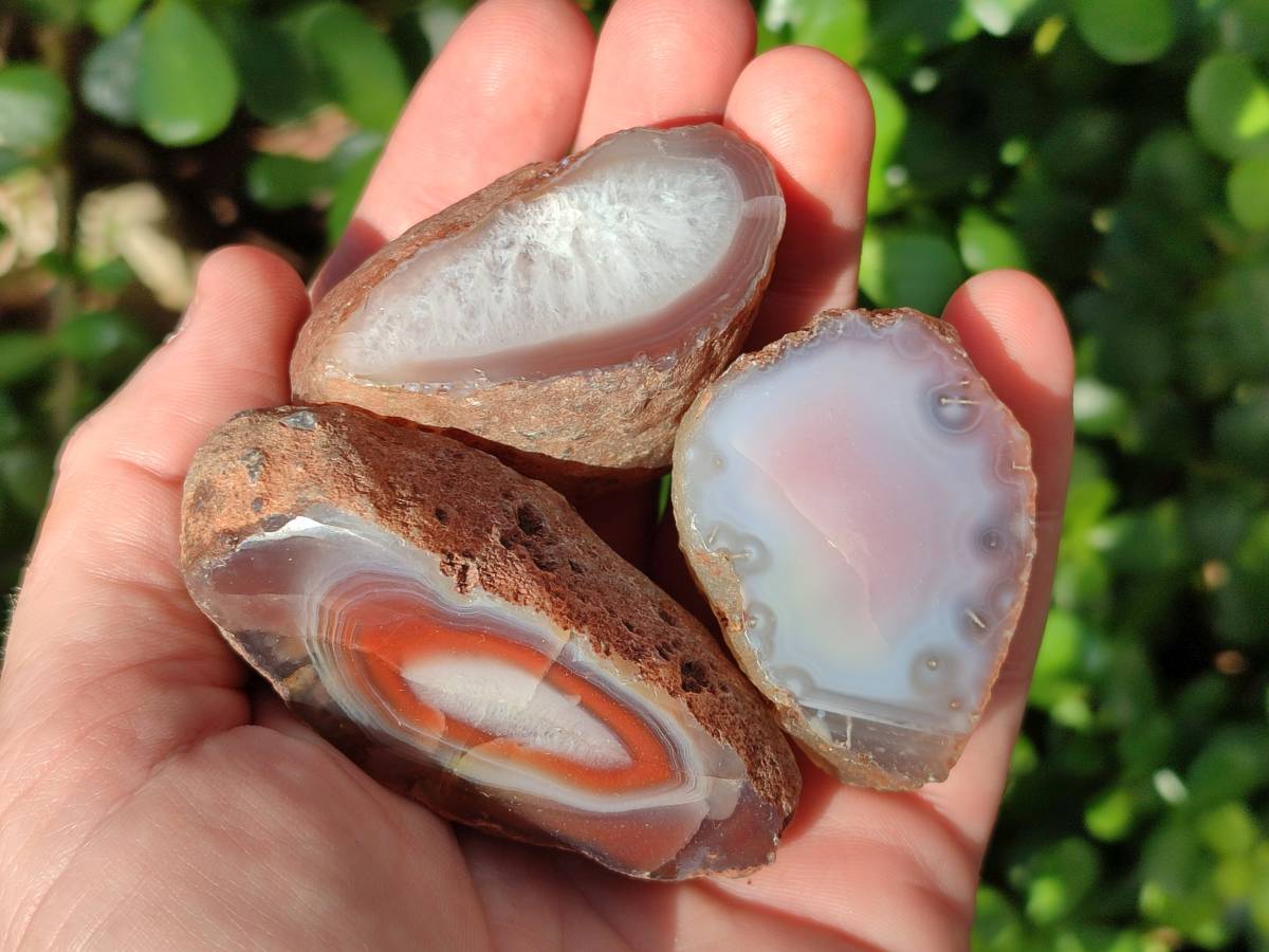 Polished On One Side Red Sashe River Agate Nodules x 20 From Zimbabwe - Toprock Gemstones and Minerals 
