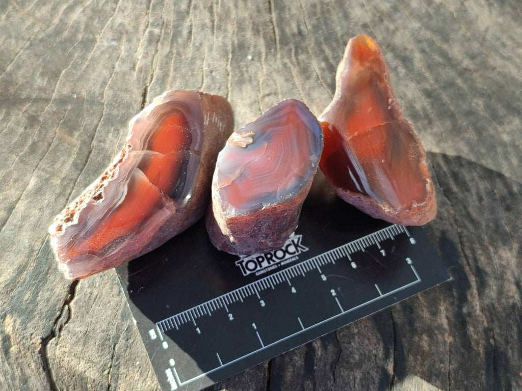 Polished On One Side Red Sashe River Agate Nodules x 20 From Zimbabwe - Toprock Gemstones and Minerals 