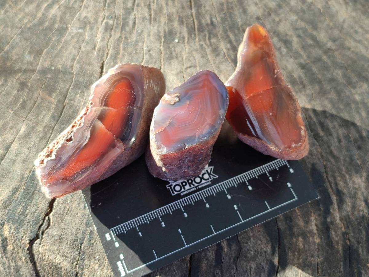 Polished On One Side Red Sashe River Agate Nodules x 20 From Zimbabwe - Toprock Gemstones and Minerals 