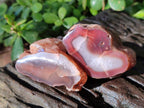Polished On One Side Red Sashe River Agate Nodules x 20 From Zimbabwe - Toprock Gemstones and Minerals 