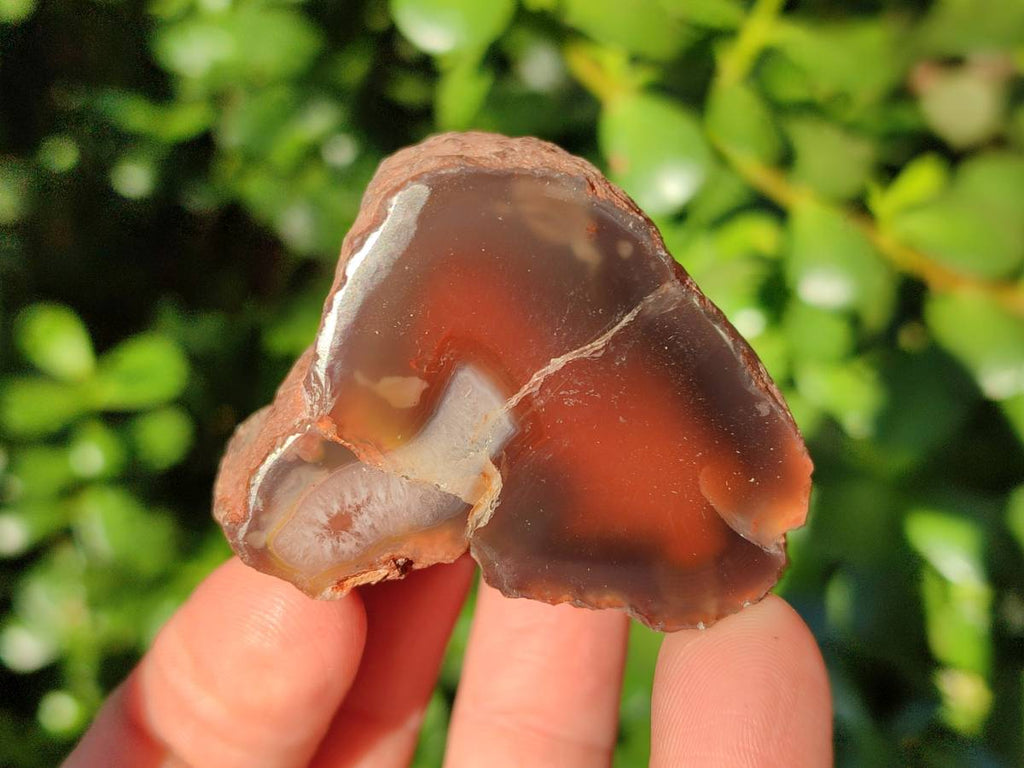 Polished On One Side Red Sashe River Agate Nodules x 20 From Zimbabwe - Toprock Gemstones and Minerals 