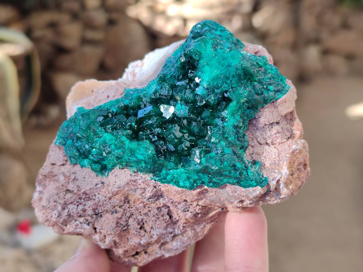 Natural Dioptase on Dolomite Matrix Specimens x 2 From Likasi, Congo - Toprock Gemstones and Minerals 