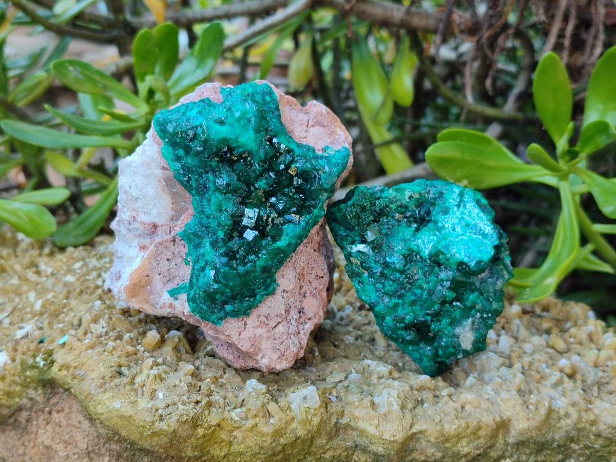 Natural Dioptase on Dolomite Matrix Specimens x 2 From Likasi, Congo - Toprock Gemstones and Minerals 