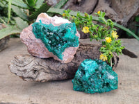 Natural Dioptase on Dolomite Matrix Specimens x 2 From Likasi, Congo
