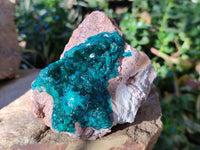 Natural Dioptase on Dolomite Matrix Specimens x 2 From Likasi, Congo