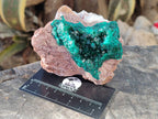 Natural Dioptase on Dolomite Matrix Specimens x 2 From Likasi, Congo - Toprock Gemstones and Minerals 