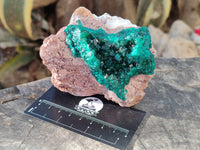 Natural Dioptase on Dolomite Matrix Specimens x 2 From Likasi, Congo