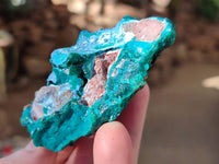 Natural Dioptase on Dolomite Matrix Specimens x 2 From Likasi, Congo