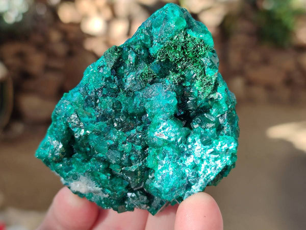 Natural Dioptase on Dolomite Matrix Specimens x 2 From Likasi, Congo