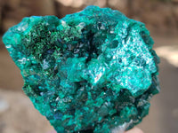 Natural Dioptase on Dolomite Matrix Specimens x 2 From Likasi, Congo