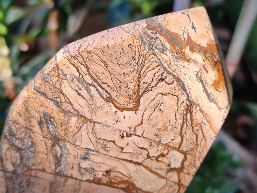 Polished Picture Stone Jasper Points x 2 From Ais-Ais, Namibia - Toprock Gemstones and Minerals 