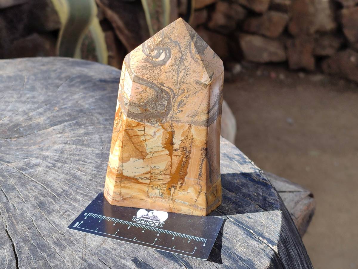 Polished Picture Stone Jasper Points x 2 From Ais-Ais, Namibia - Toprock Gemstones and Minerals 