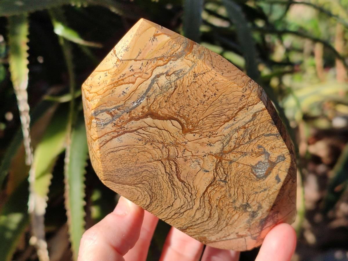 Polished Picture Stone Jasper Points x 2 From Ais-Ais, Namibia - Toprock Gemstones and Minerals 