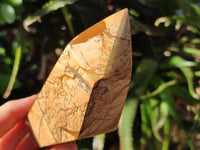 Polished Picture Stone Jasper Points x 2 From Ais-Ais, Namibia - Toprock Gemstones and Minerals 
