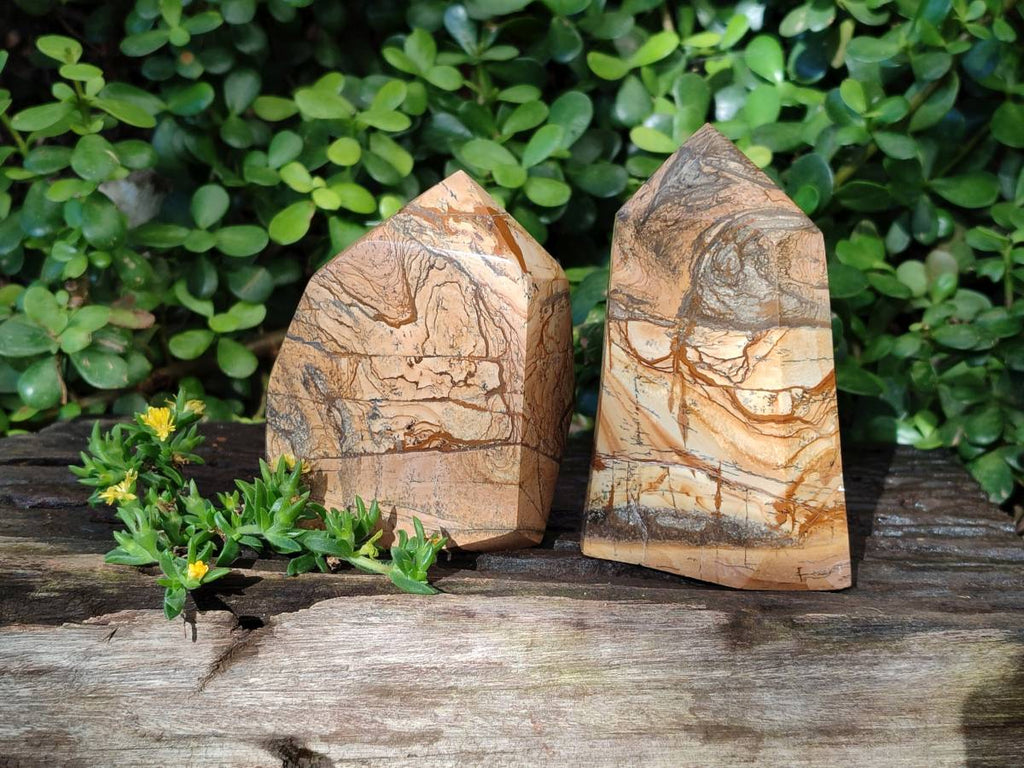 Polished Picture Stone Jasper Points x 2 From Ais-Ais, Namibia - Toprock Gemstones and Minerals 
