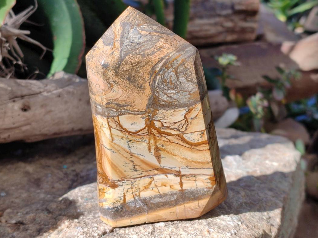 Polished Picture Stone Jasper Points x 2 From Ais-Ais, Namibia - Toprock Gemstones and Minerals 