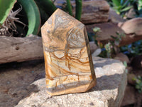 Polished Picture Stone Jasper Points x 2 From Ais-Ais, Namibia - Toprock Gemstones and Minerals 